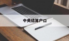 中央结算户口(中央结算公司是做什么的)