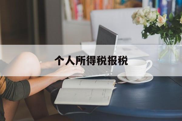 个人所得税报税(个人所得税报税赡养老人)